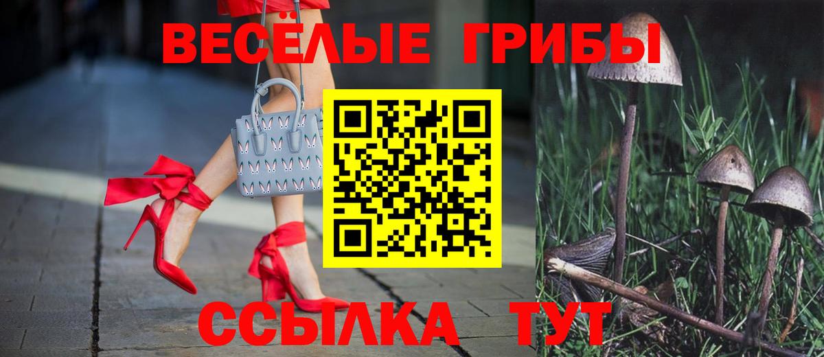 Псилоцибиновые грибы мухоморы  Вход с VPN  Псилоцибиновые грибы ЛСД  Кольчугино 